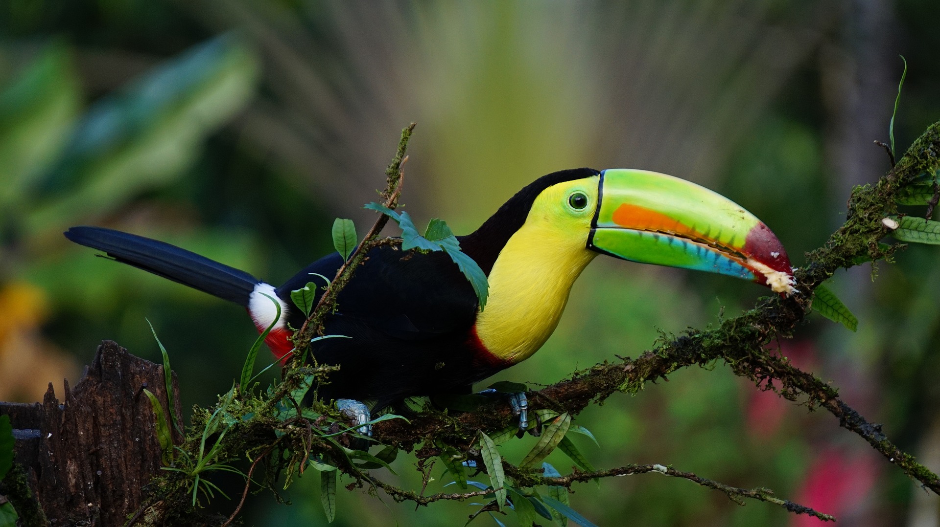 Read more about the article Costa Rica Travel Guide